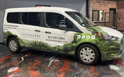 The Ultimate Privacy Solution: Tinted Windows